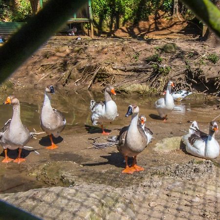 Hotel Fazenda Canto Da Serra Жаконе Экстерьер фото